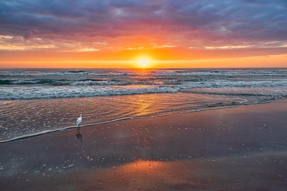 Active With Contract: $599,900 (3 beds, 2 baths, 1808 Square Feet)