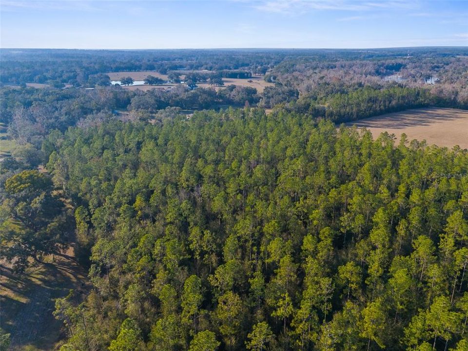 For Sale: $289,800 (6.20 acres)