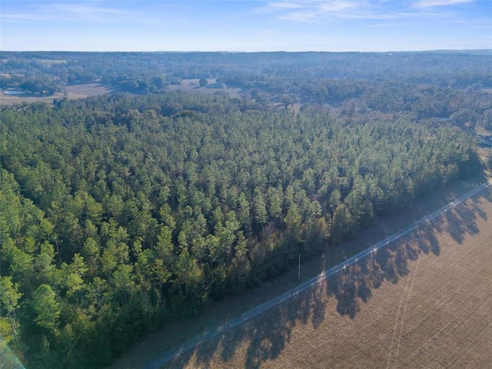 For Sale: $289,800 (6.20 acres)