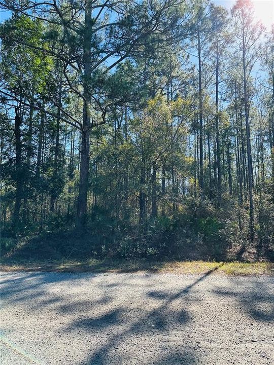 For Sale: $59,000 (1.14 acres)