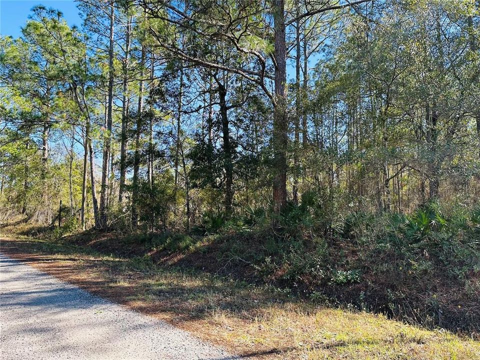 For Sale: $59,000 (1.14 acres)