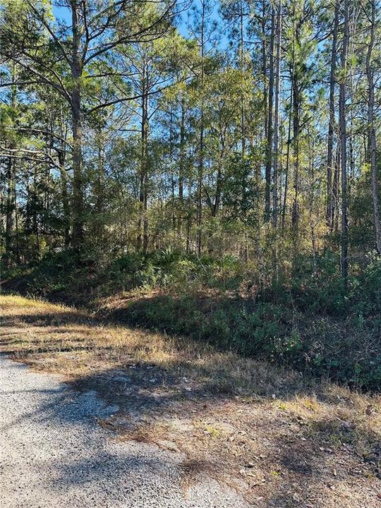 For Sale: $59,000 (1.14 acres)