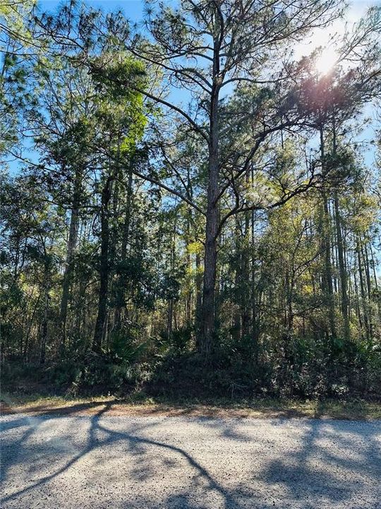 For Sale: $59,000 (1.14 acres)