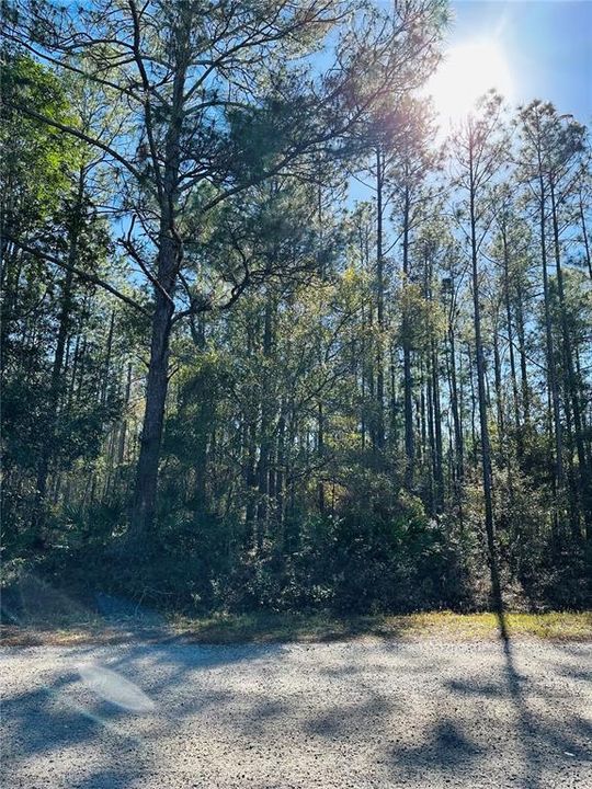 For Sale: $59,000 (1.14 acres)