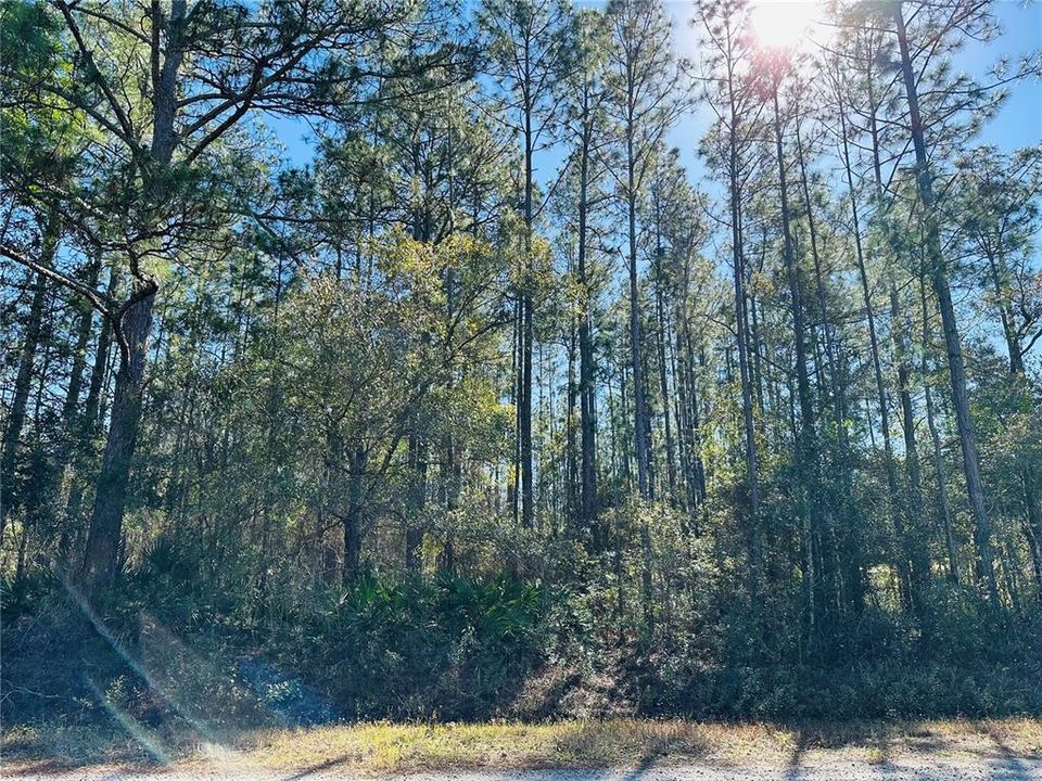 For Sale: $59,000 (1.14 acres)