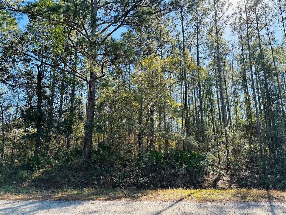 For Sale: $59,000 (1.14 acres)