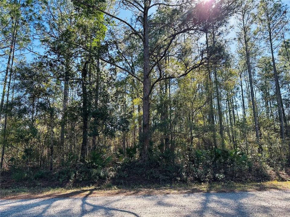 For Sale: $59,000 (1.14 acres)