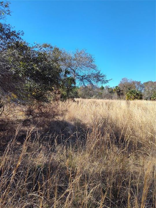 For Sale: $25,000 (1.00 acres)