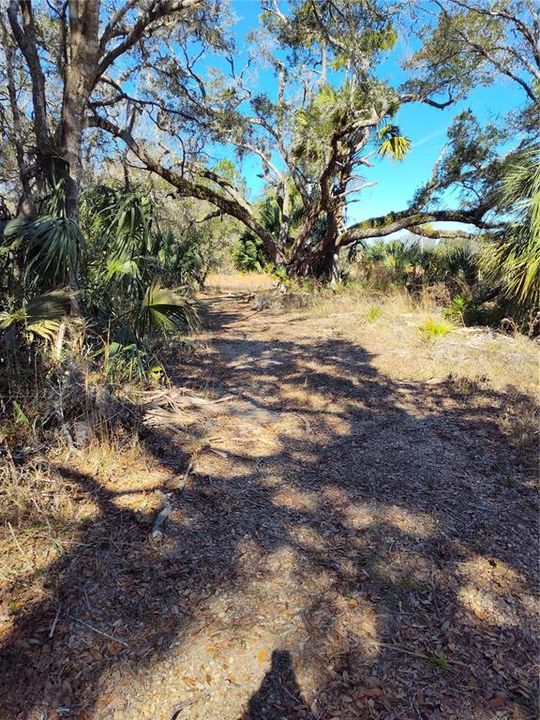 For Sale: $25,000 (1.00 acres)