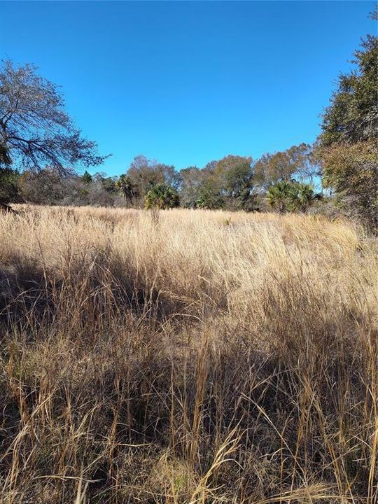 For Sale: $25,000 (1.00 acres)