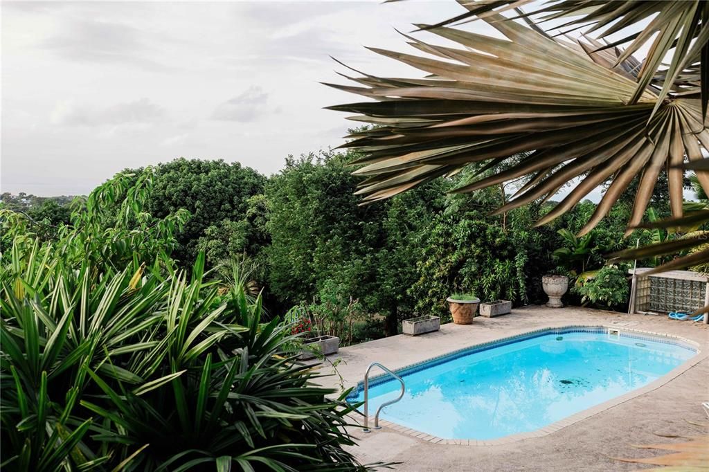 For Sale: $925,000 (6 beds, 4 baths, 2497 Square Feet)