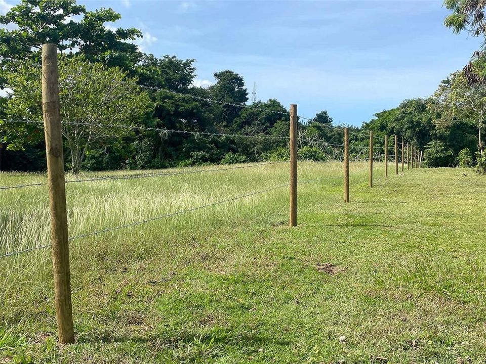 For Sale: $344,000 (3.86 acres)