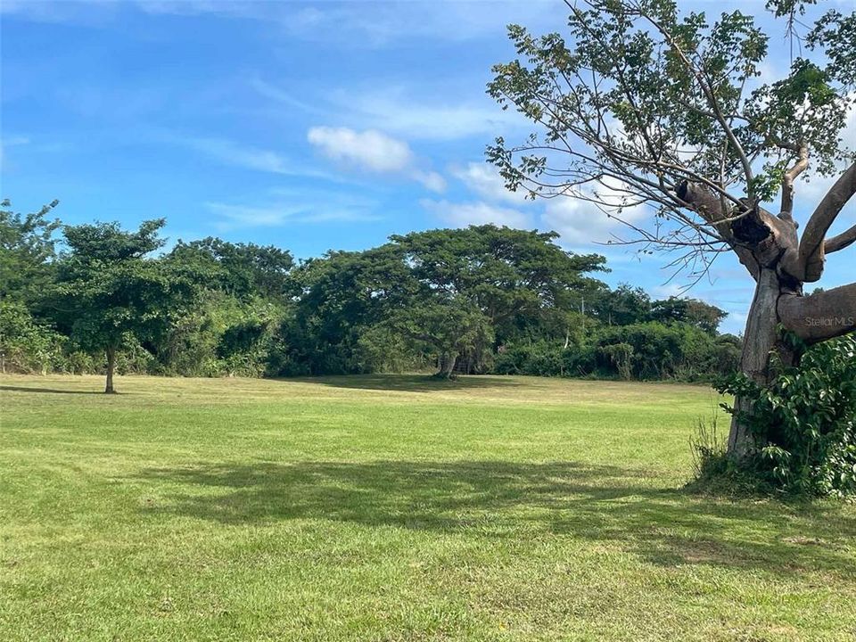 For Sale: $344,000 (3.86 acres)