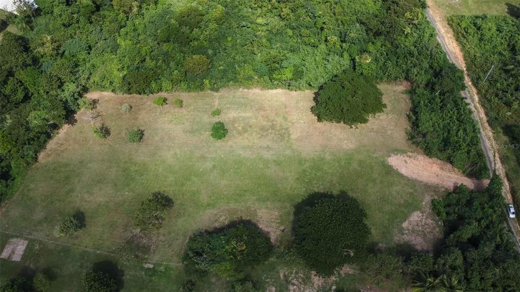 For Sale: $344,000 (3.86 acres)