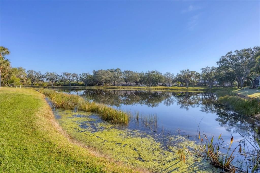 En Renta: $8,500 (3 camas, 2 baños, 1620 Pies cuadrados)