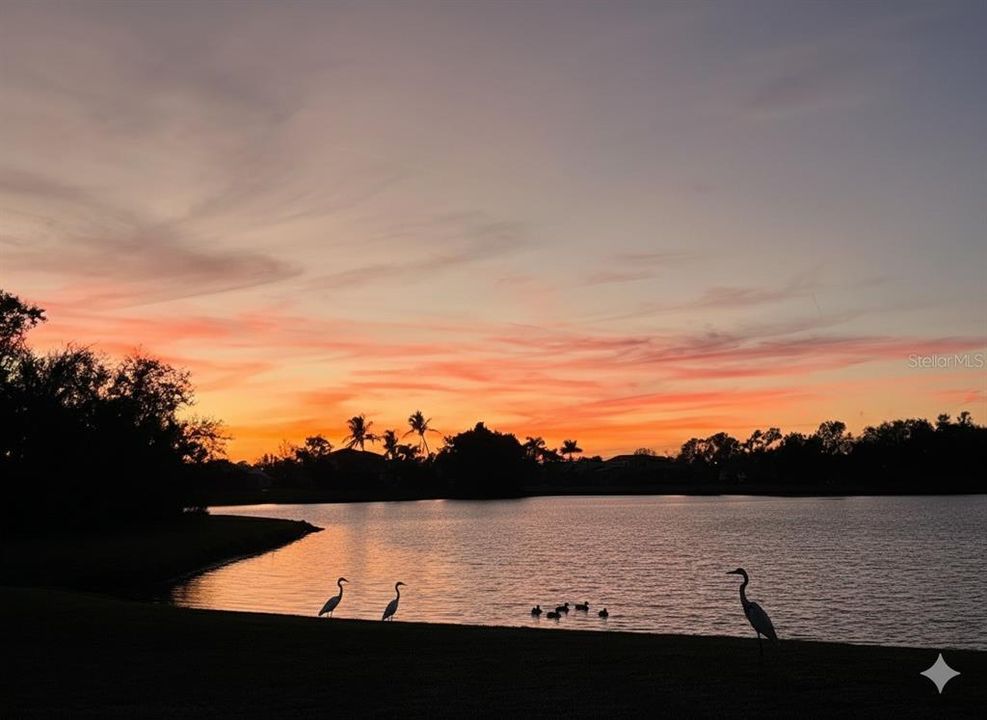 Active With Contract: $475,000 (4 beds, 2 baths, 2608 Square Feet)