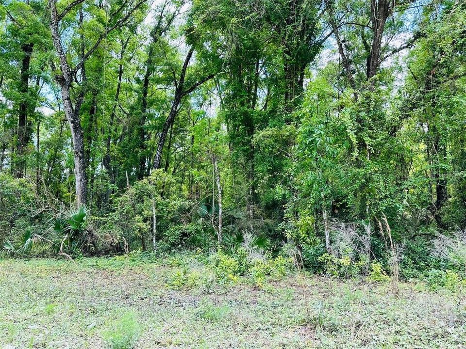 Недавно продано: $32,000 (2.73 acres)