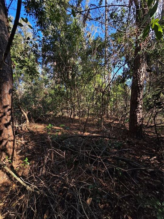 Recently Sold: $29,000 (0.95 acres)