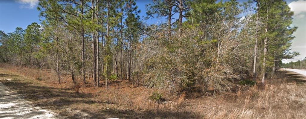 Недавно продано: $28,000 (0.46 acres)