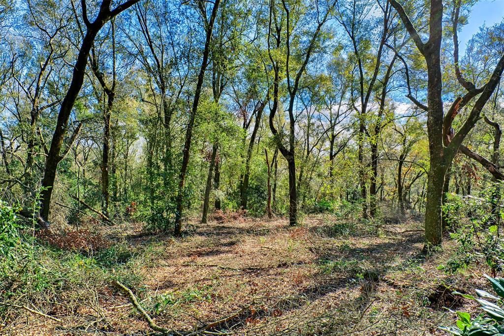 На продажу: $324,900 (3 спален, 2 ванн, 1089 Квадратных фут)