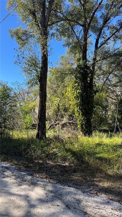 На продажу: $19,000 (0.25 acres)