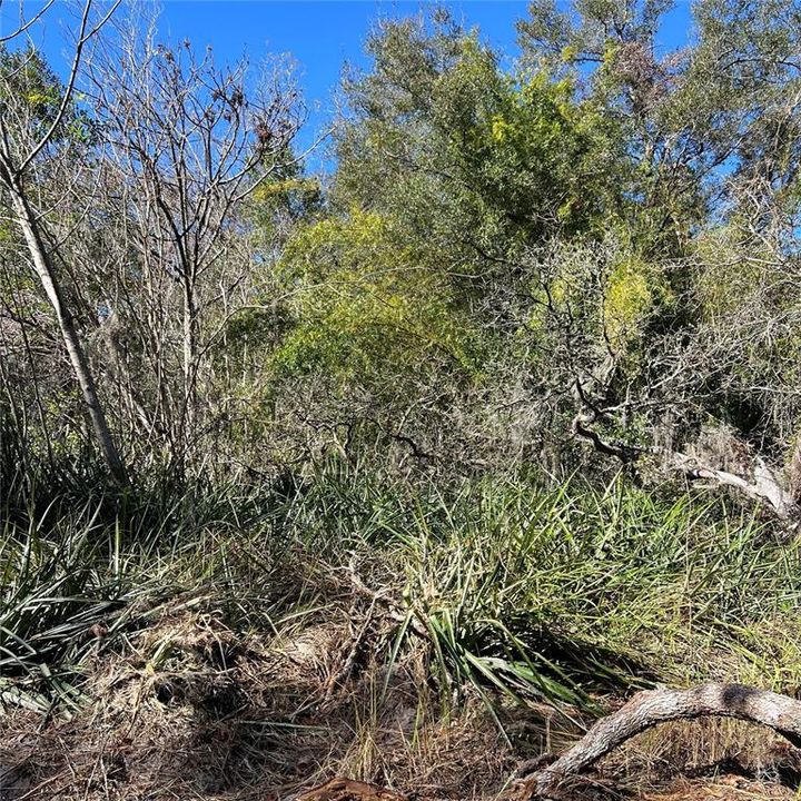 На продажу: $19,000 (0.25 acres)