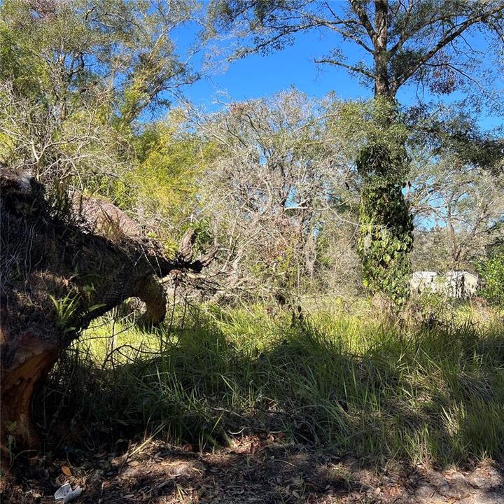 На продажу: $19,000 (0.25 acres)