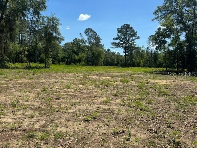 Recently Sold: $36,000 (1.25 acres)