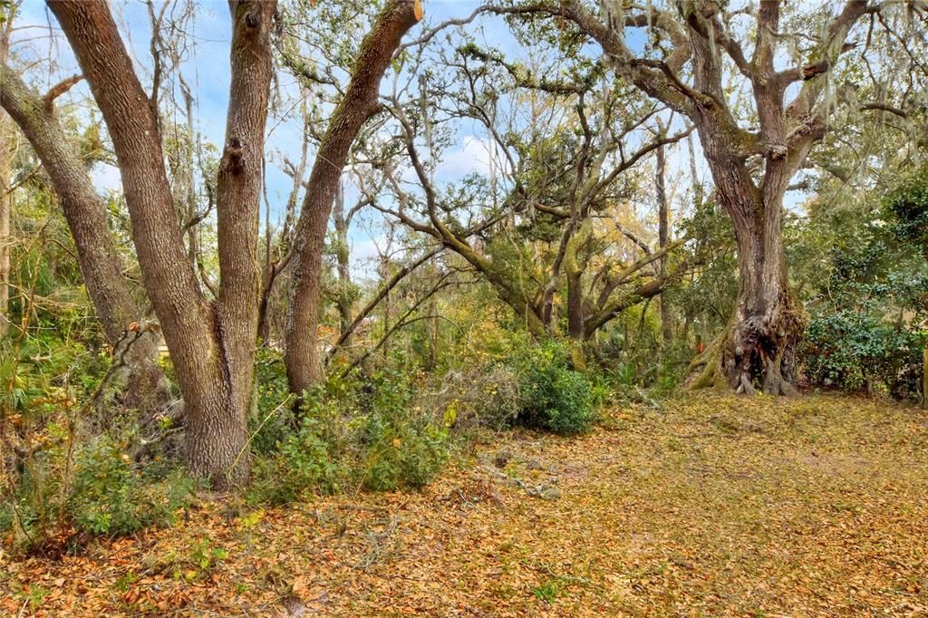 待售: $220,000 (1.52 acres)