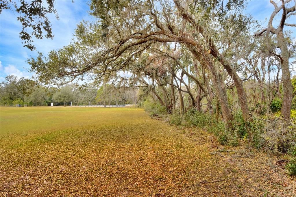 待售: $220,000 (1.52 acres)