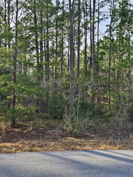 For Sale: $80,000 (2.00 acres)