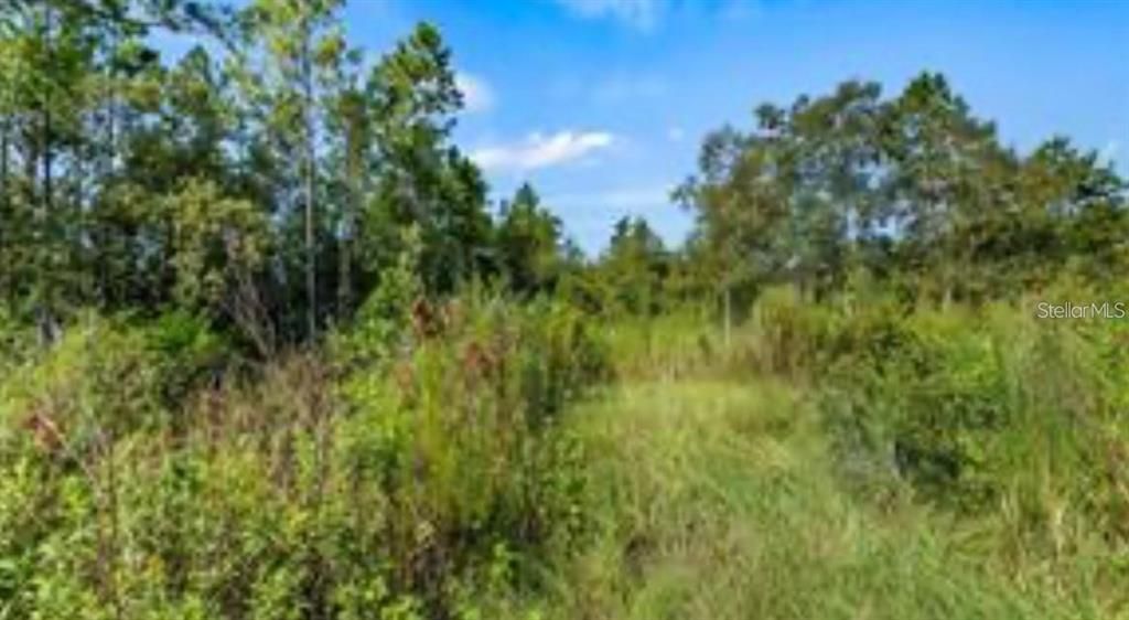 待售: $50,000 (5.00 acres)