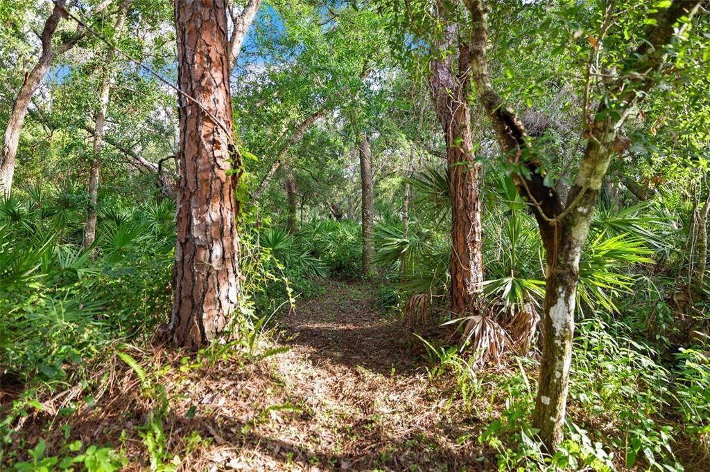 En Venta: $2,349,000 (4 camas, 2 baños, 5464 Pies cuadrados)