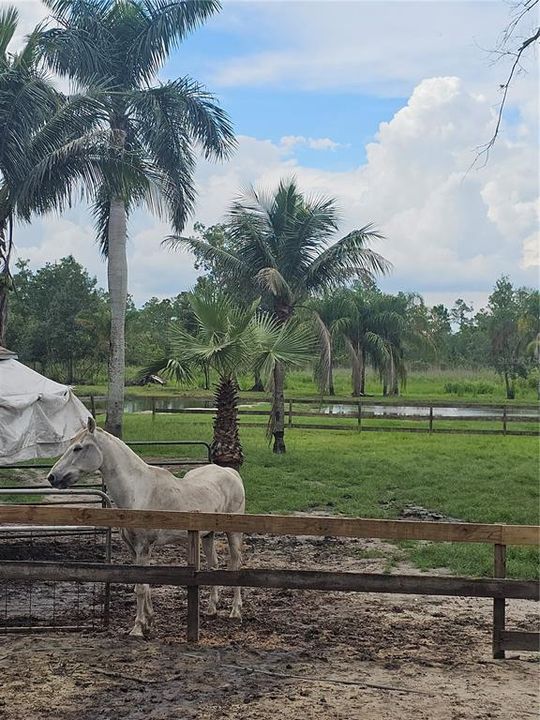 En Venta: $498,900 (3 camas, 2 baños, 1578 Pies cuadrados)