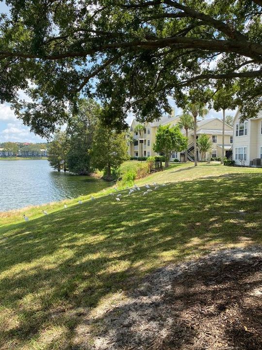 Под контрактом: $1,600 (2 спален, 2 ванн, 829 Квадратных фут)