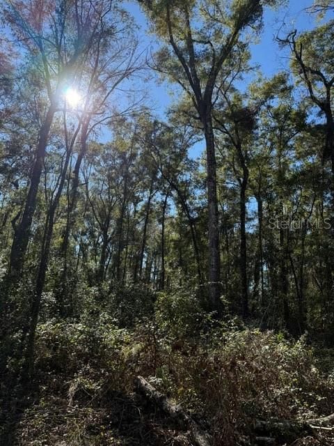 待售: $450,000 (10.00 acres)