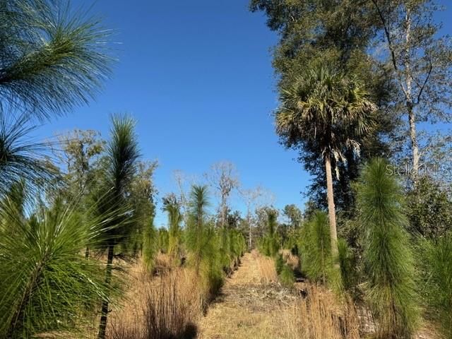 待售: $450,000 (10.00 acres)