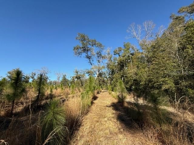 待售: $450,000 (10.00 acres)