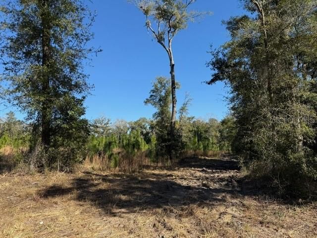 待售: $450,000 (10.00 acres)