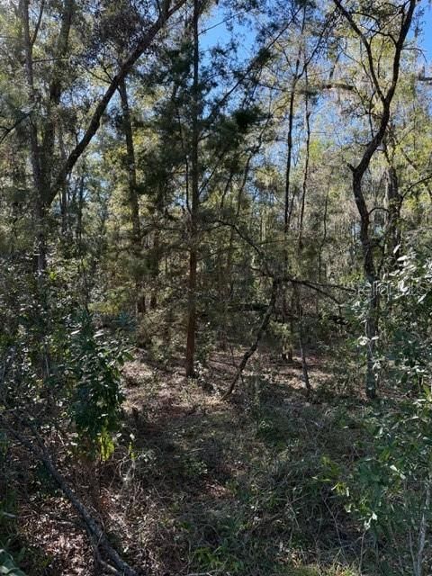 待售: $450,000 (10.00 acres)