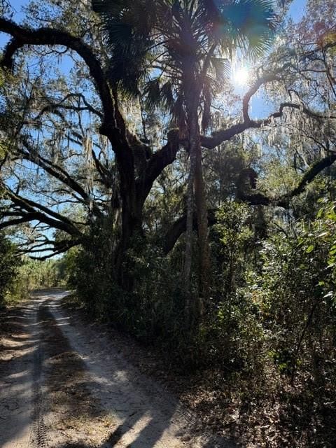 待售: $450,000 (10.00 acres)