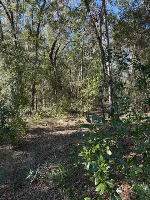 待售: $450,000 (10.00 acres)