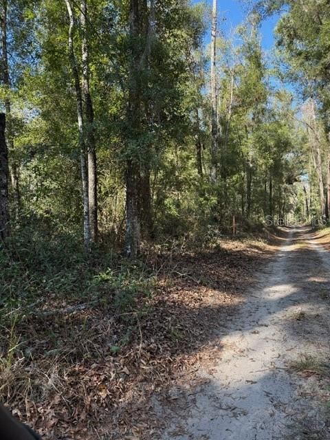 待售: $450,000 (10.00 acres)