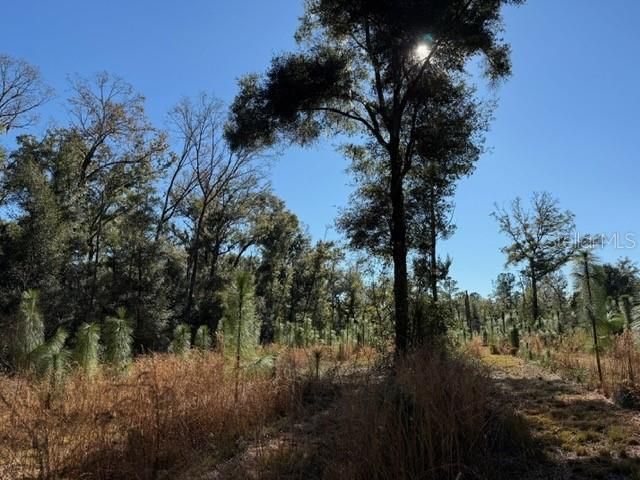 待售: $450,000 (10.00 acres)