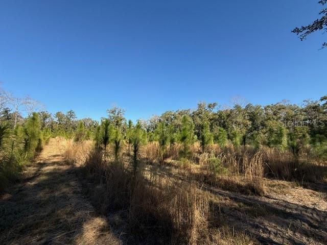 待售: $450,000 (10.00 acres)