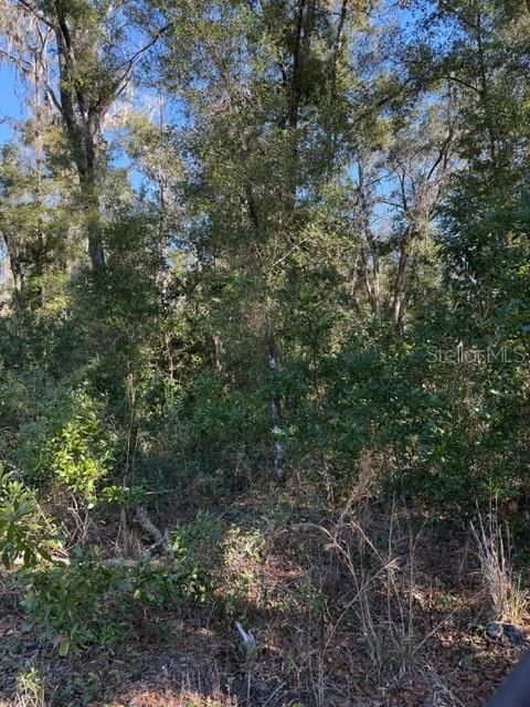 待售: $450,000 (10.00 acres)