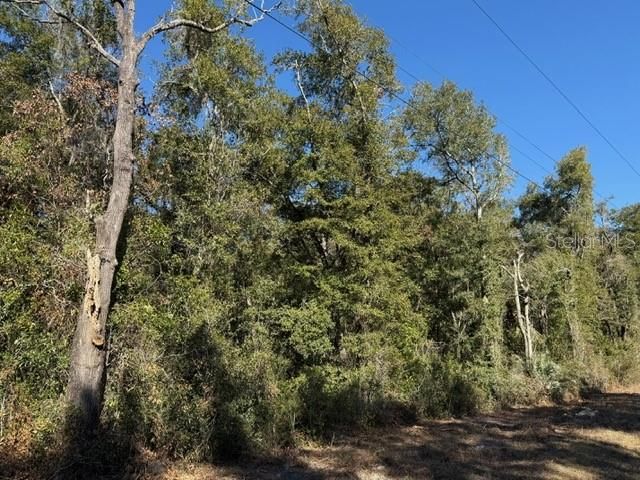 待售: $450,000 (10.00 acres)