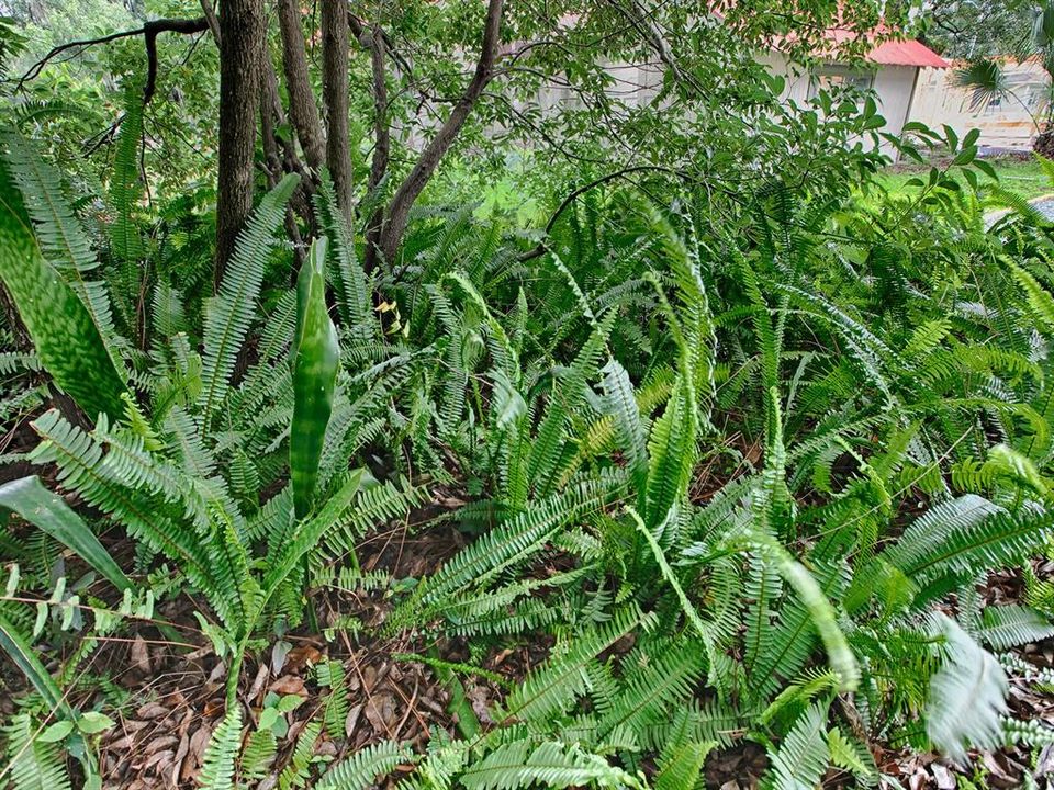 合同活跃: $389,900 (3 贝兹, 0 浴室, 1434 平方英尺)