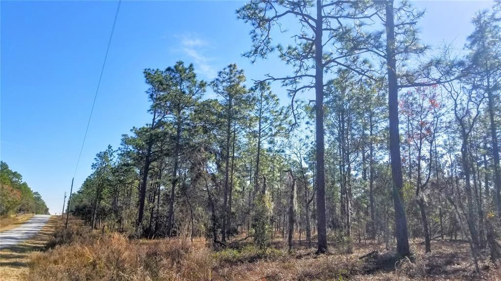 Recently Sold: $47,000 (2.00 acres)