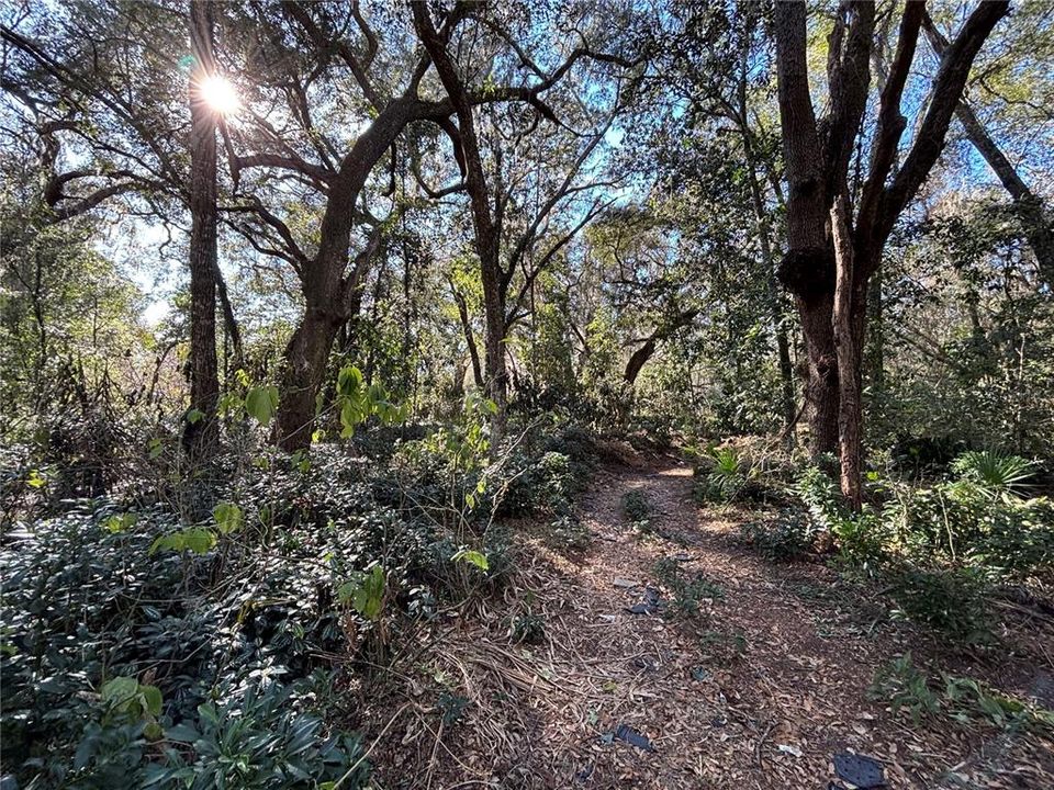 Recently Sold: $65,000 (3.20 acres)